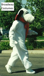 Picture of Beagle