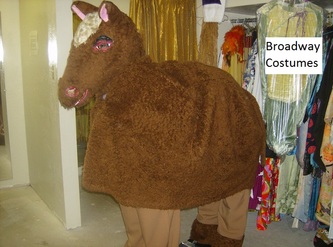 Picture of our 2-person Horse