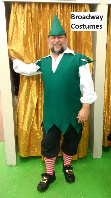 picture of one of our Elf Costumes
