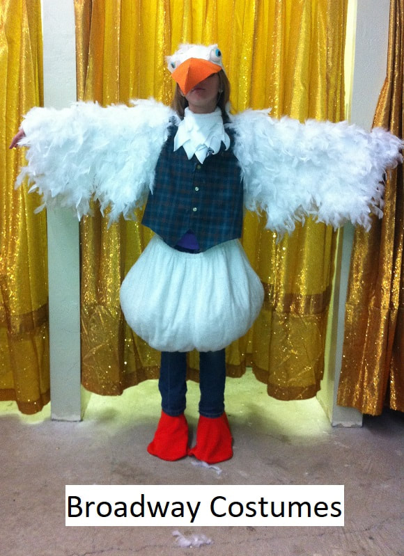 picture of various smaller sized costumes we may have available