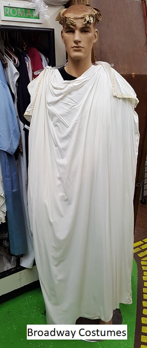 Picture of one of our Roman Toga Costumes