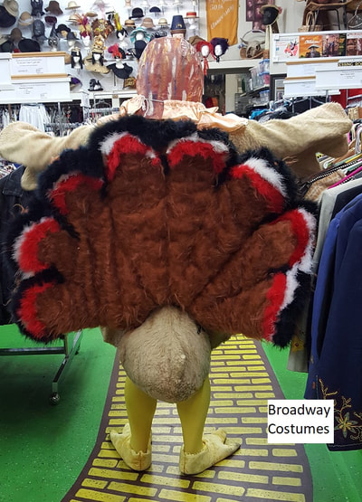 Picture of our Turkey costume - back view