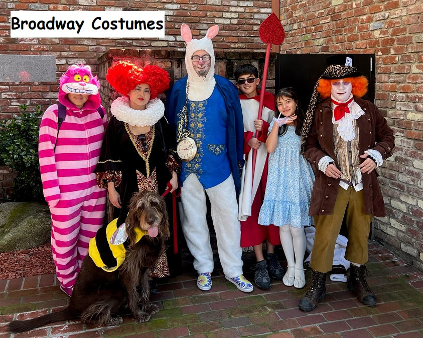 group picture of various Alice in Wonderland costumes